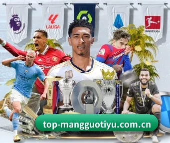 芒果体育官网 APP - MangoSport